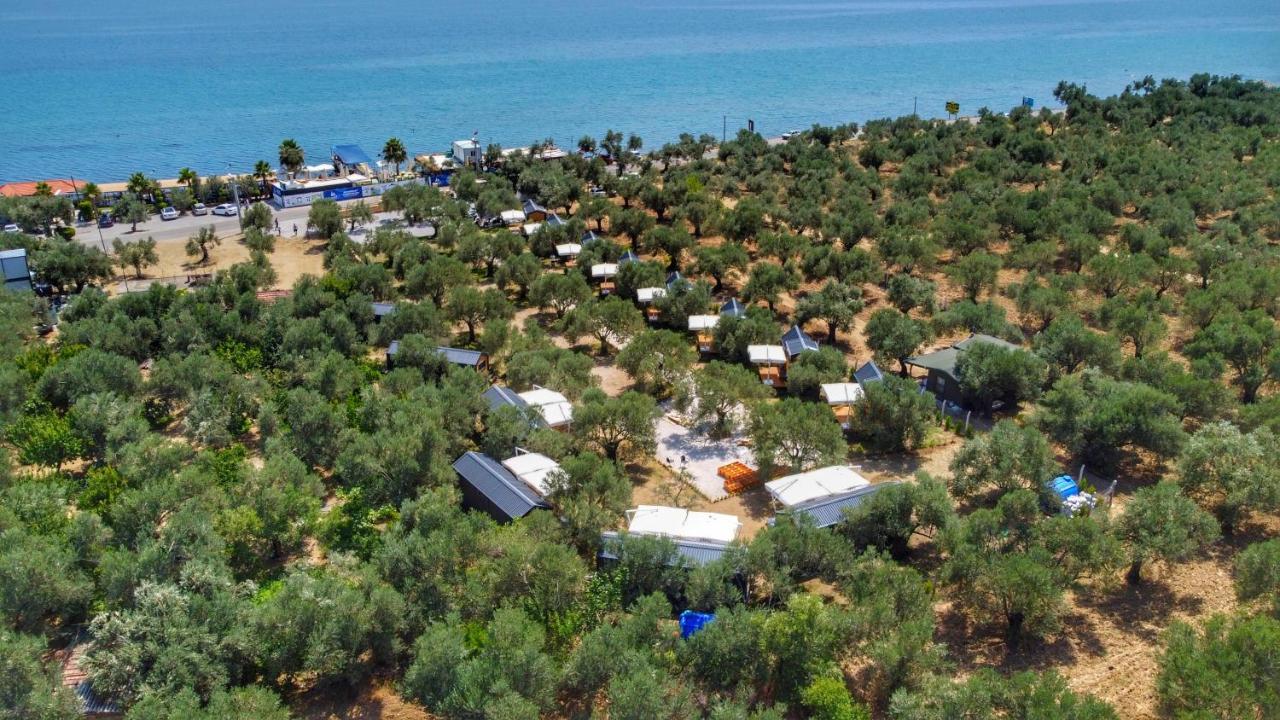 Gulet Tiny House Hotel Ayvacik Dış mekan fotoğraf