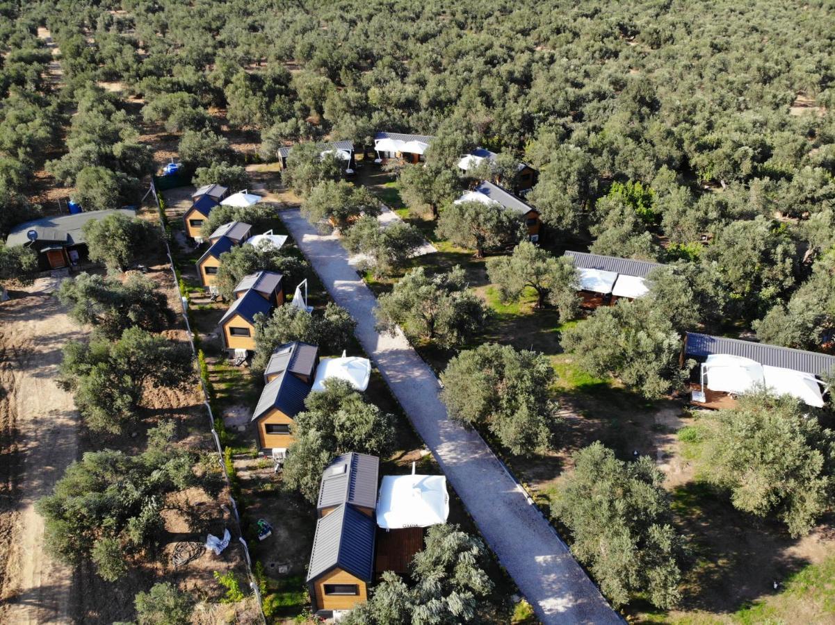 Gulet Tiny House Hotel Ayvacik Dış mekan fotoğraf